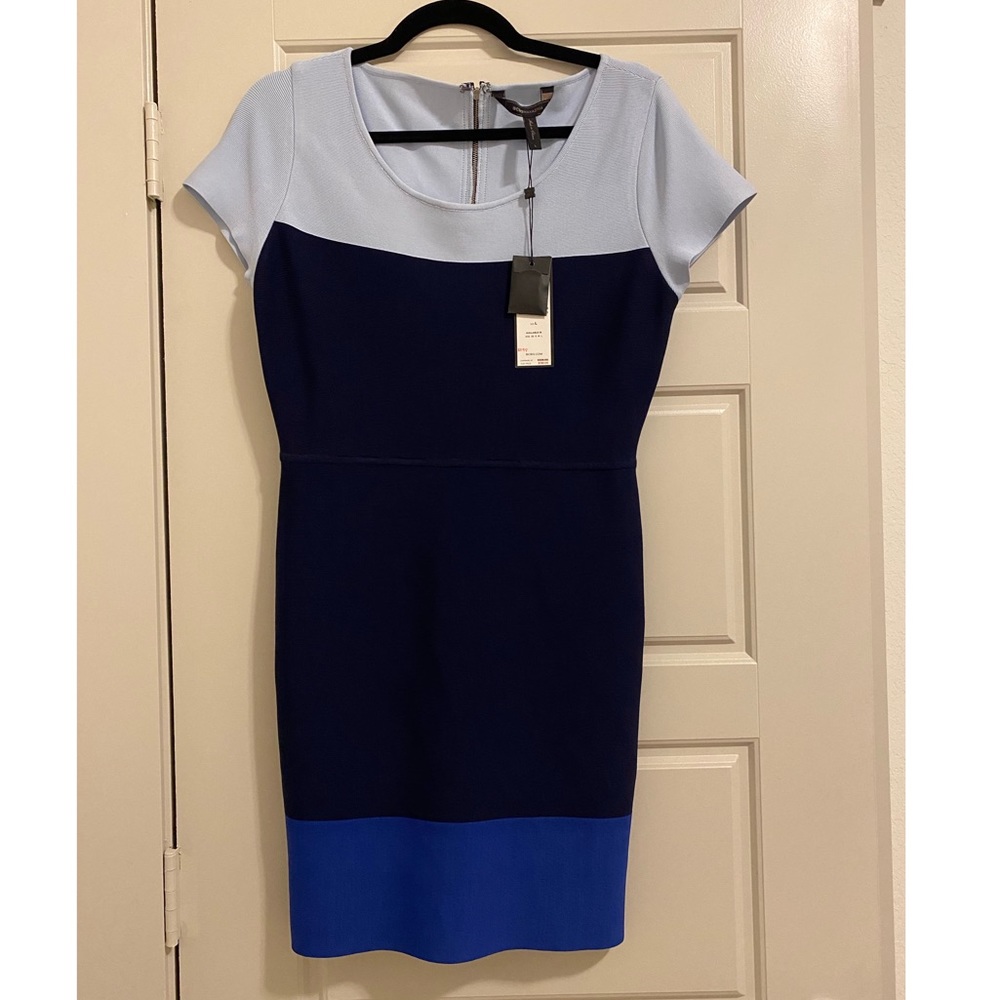 BCBG Colorblock bodycon dress